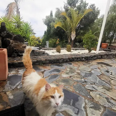 Casa Rural En Taucho 別荘